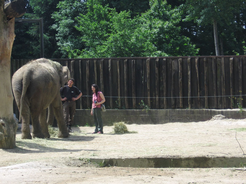 ZOO - Ljubljana 044