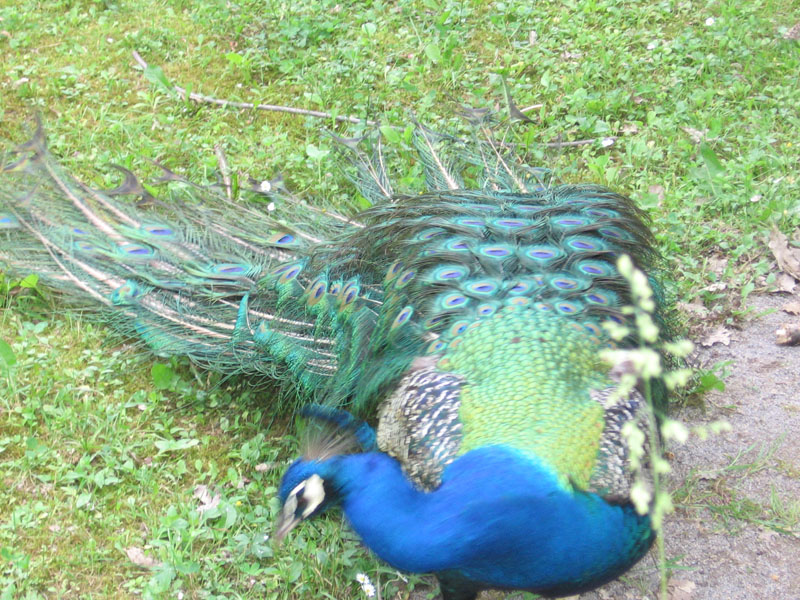 ZOO - Ljubljana 061